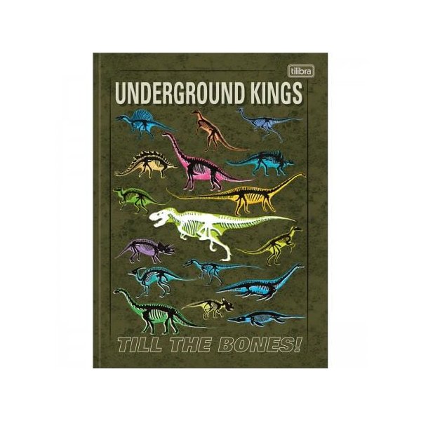 Caderno-Brochura-Capa-Dura-Tilibra-Raptor-80-Folhas.3