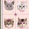 Caderno-Espiral-Capa-Dura-14-My-Pets-80-Folhas.2