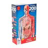 Puzzle-200-Pecas-Corpo-Humano-3937