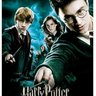 puzzle harry potter